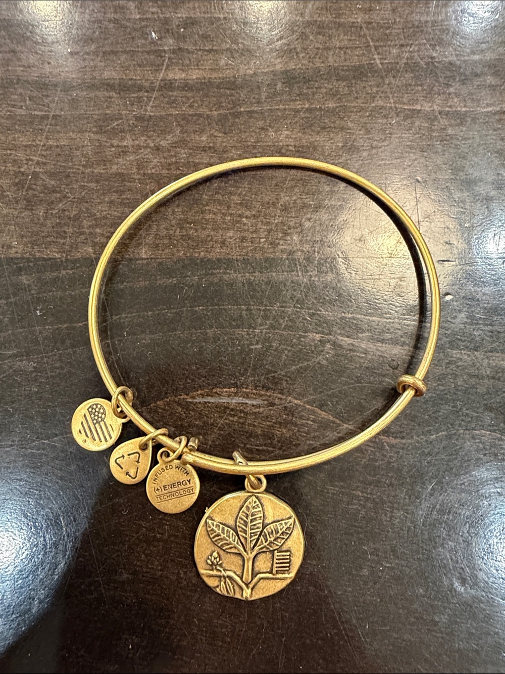 Alex and Ani bracelet
